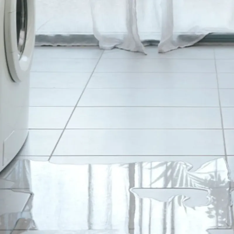 Appliance Leak Cleanup in Garden Home-Whitford, OR
